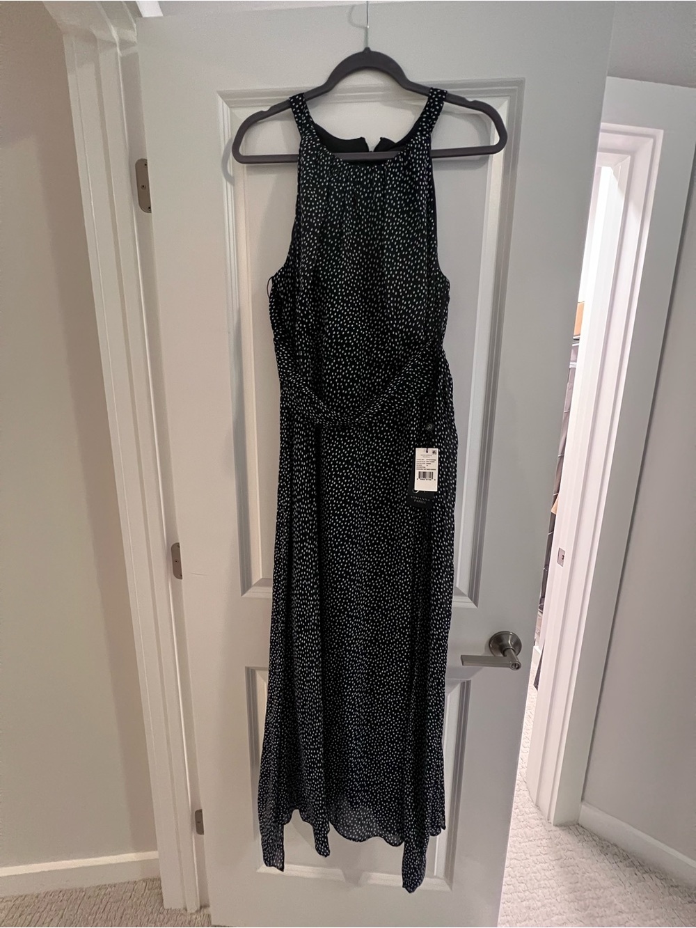 Adrianna Papell Black Maxi Dress with White Dot Print
